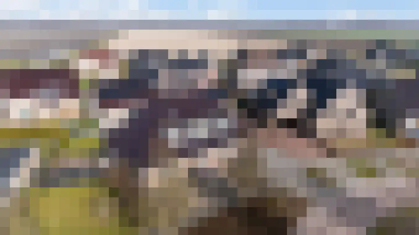 Weth. G.H. Scherpenlaan 41 Weiteveen thumbnail 66
