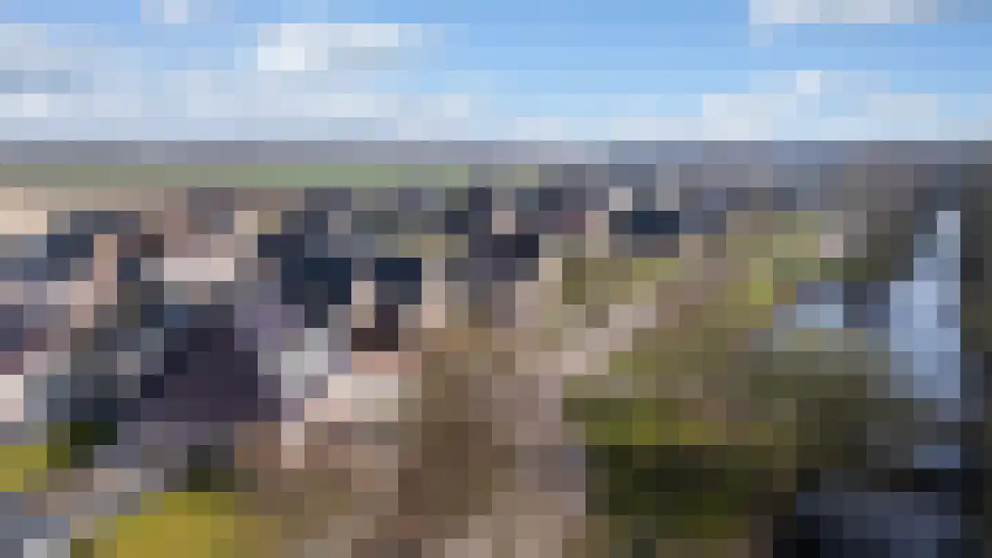 Weth. G.H. Scherpenlaan 41 Weiteveen thumbnail 67