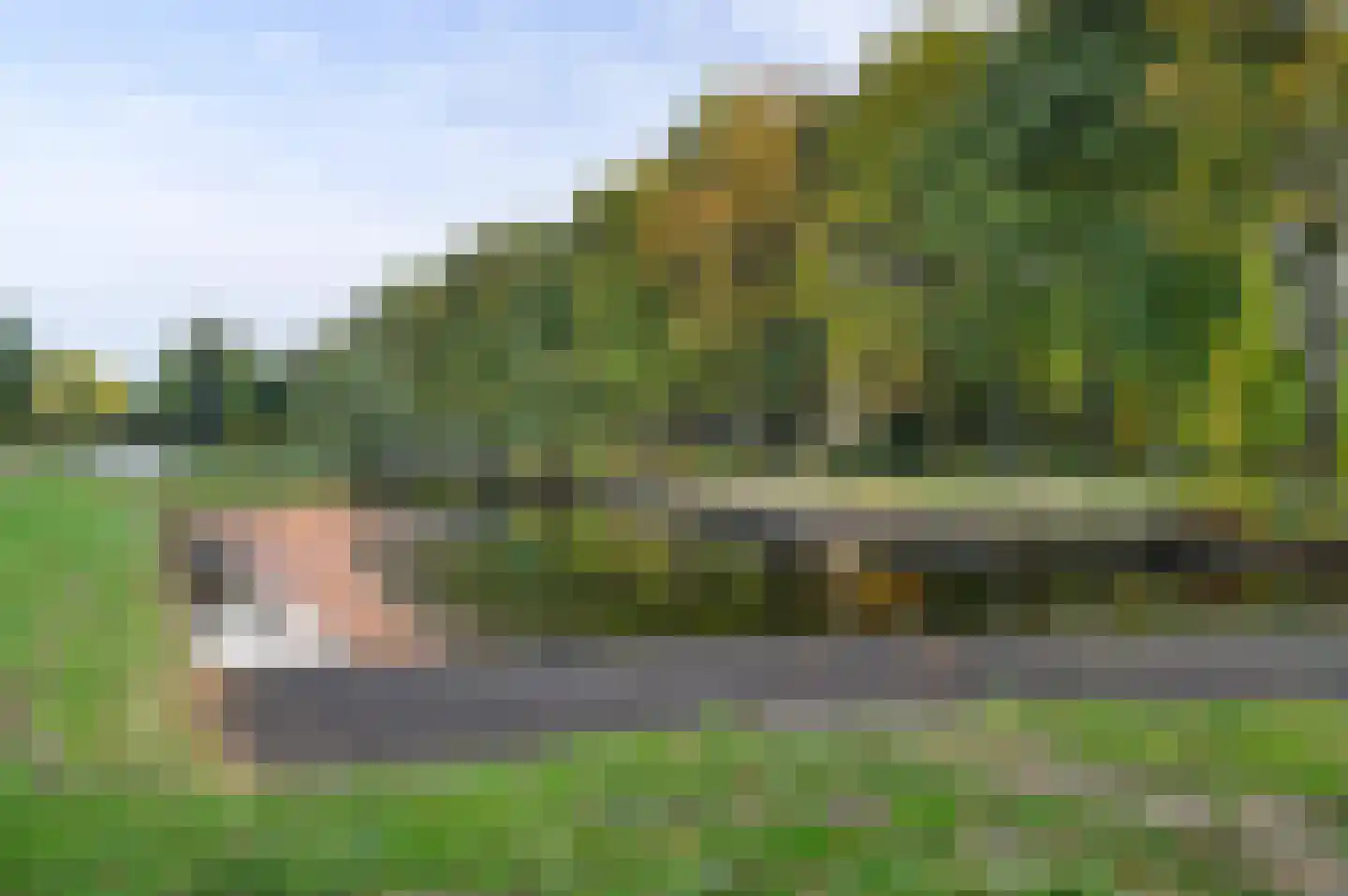 Weth. G.H. Scherpenlaan 41 Weiteveen thumbnail 70