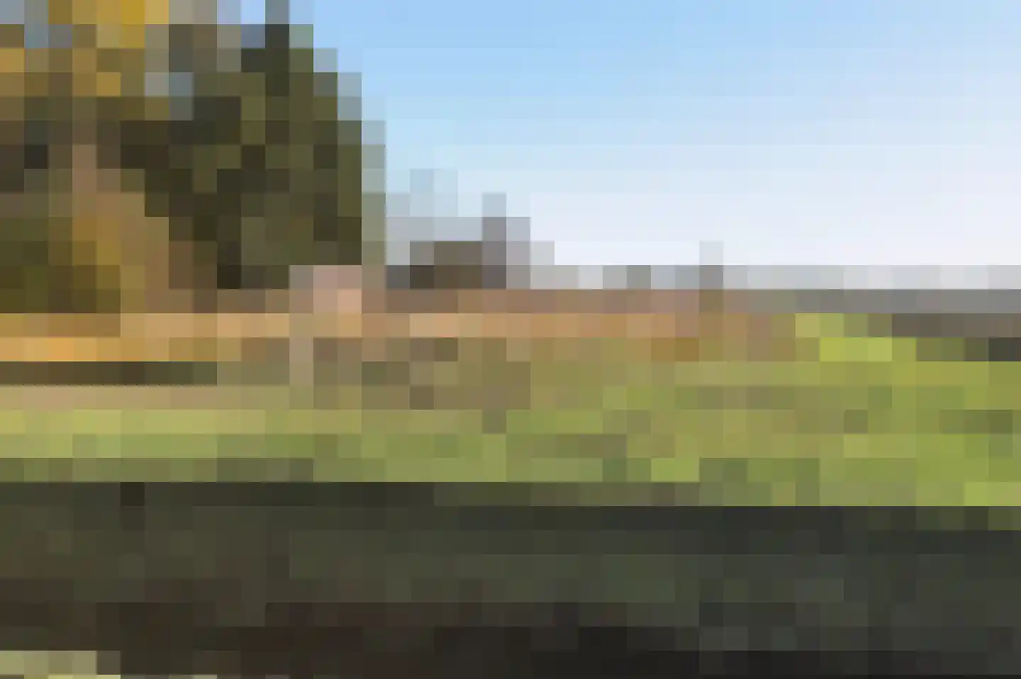 Weth. G.H. Scherpenlaan 41 Weiteveen thumbnail 75