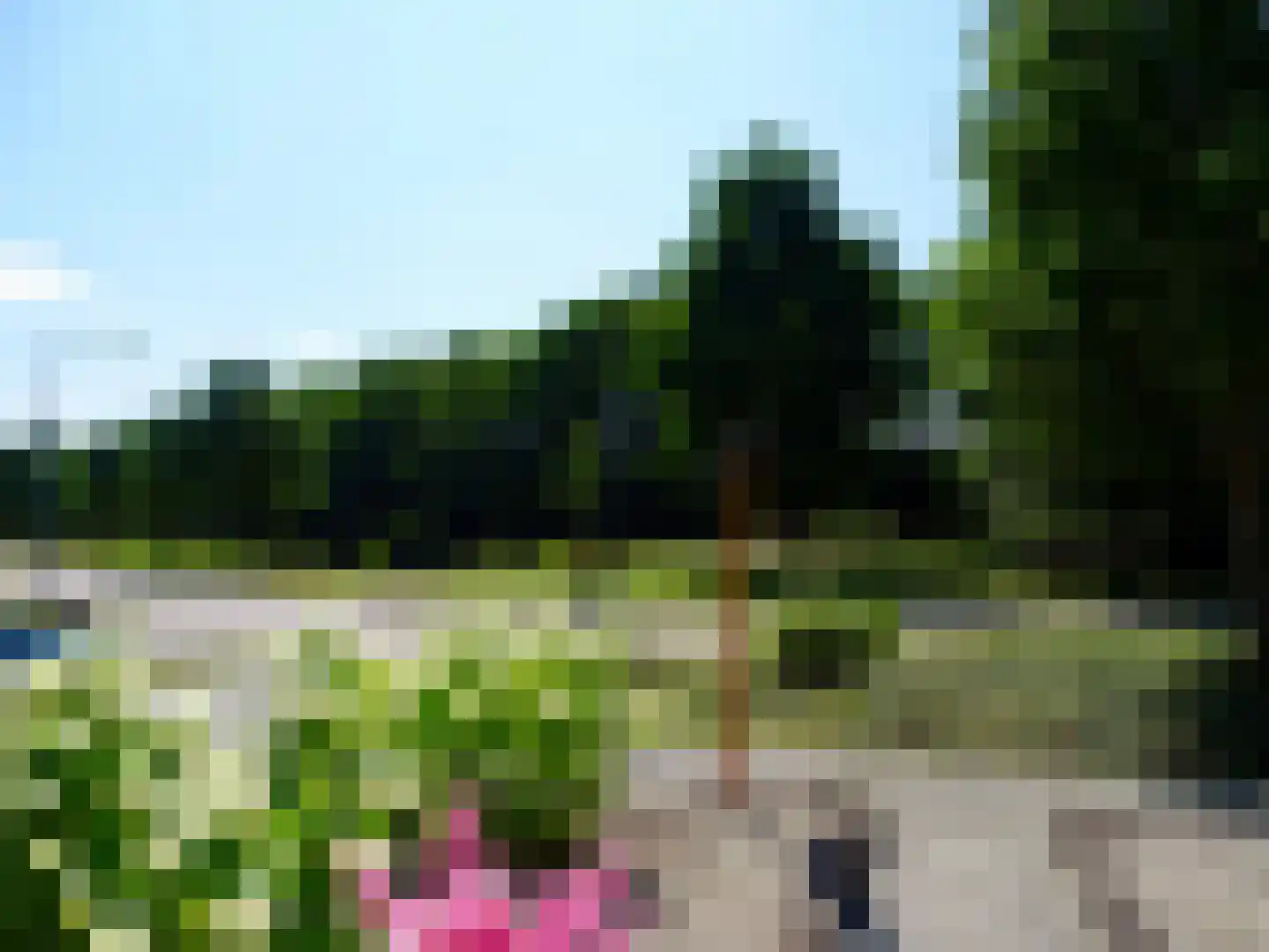 Weth. G.H. Scherpenlaan 41 Weiteveen thumbnail 76