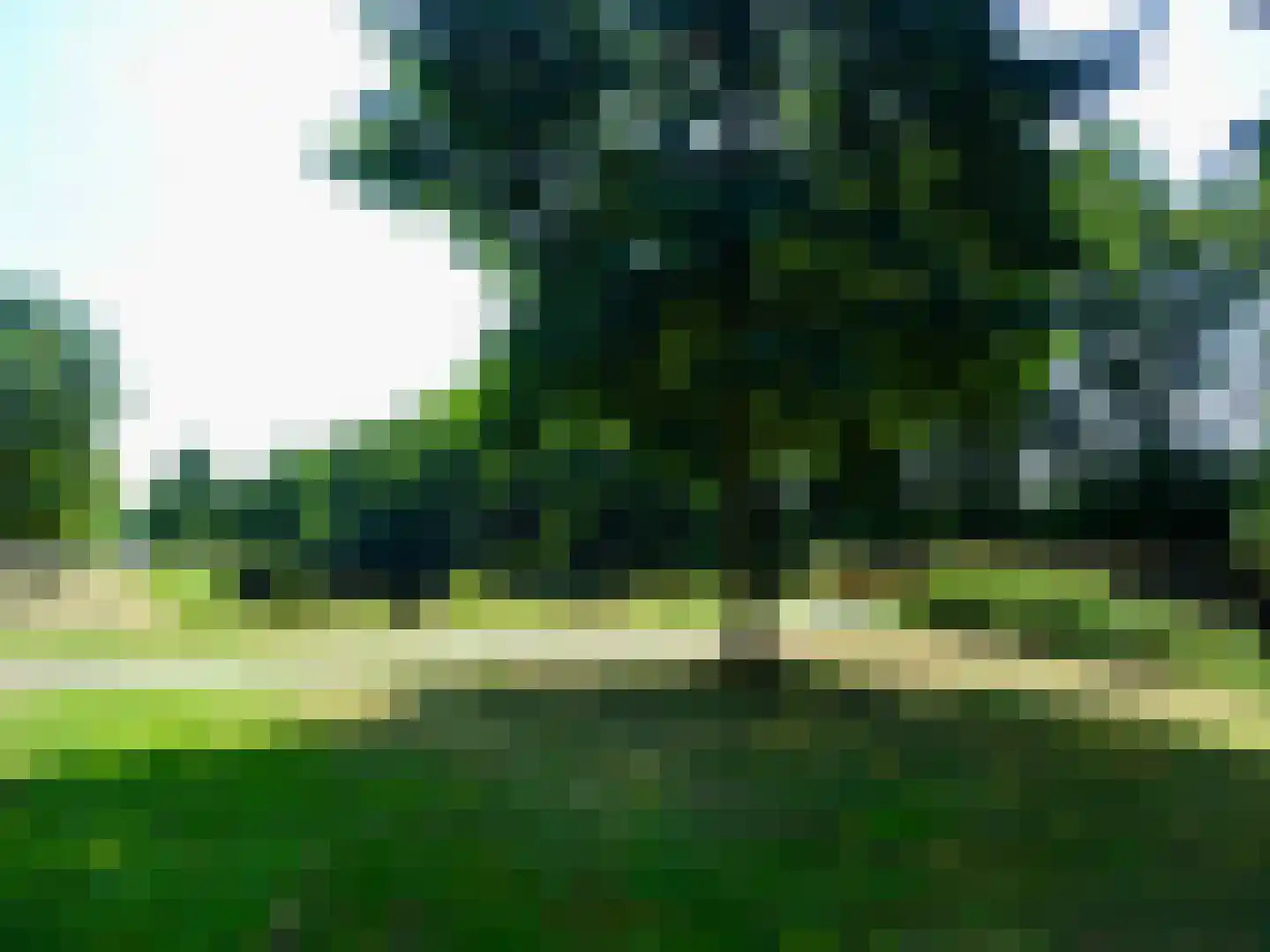 Weth. G.H. Scherpenlaan 41 Weiteveen thumbnail 82