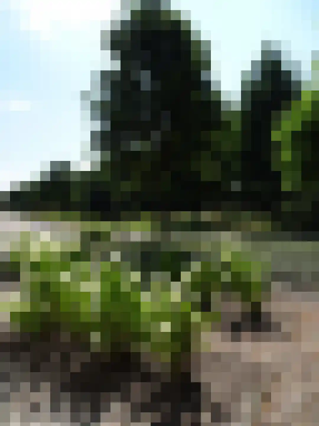 Weth. G.H. Scherpenlaan 41 Weiteveen thumbnail 89