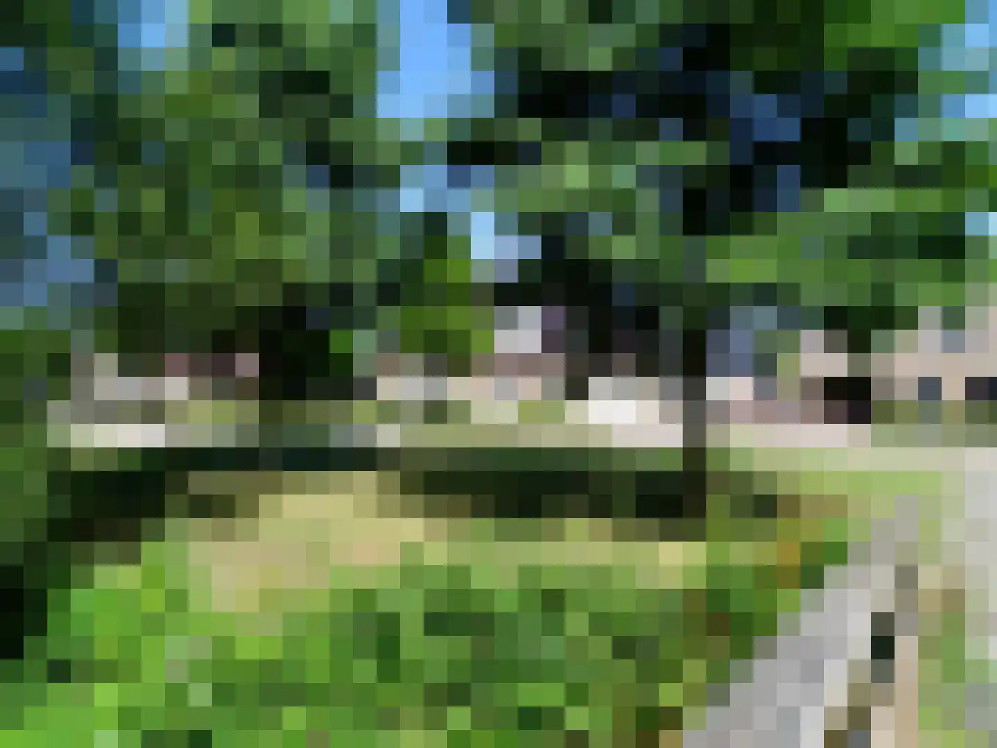 Weth. G.H. Scherpenlaan 41 Weiteveen thumbnail 94