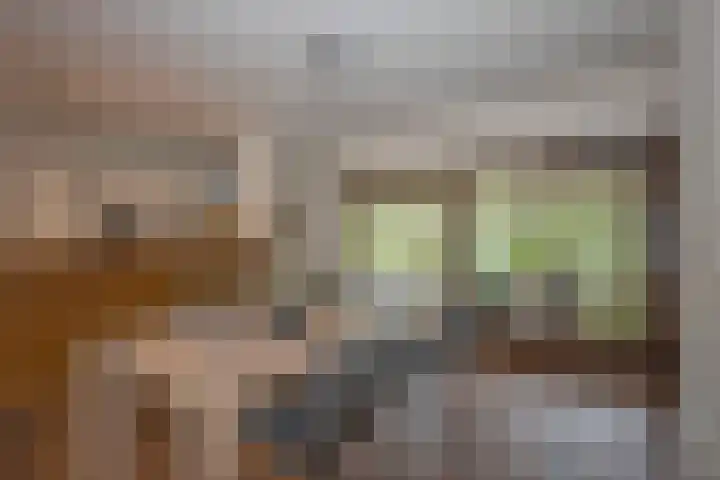 Weth. Goselinkstraat 1 a Hengevelde thumbnail 15
