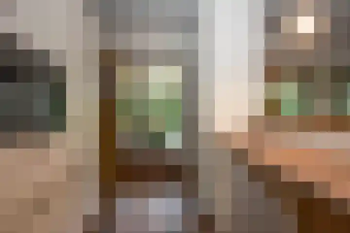 Weth. Goselinkstraat 1 a Hengevelde thumbnail 20