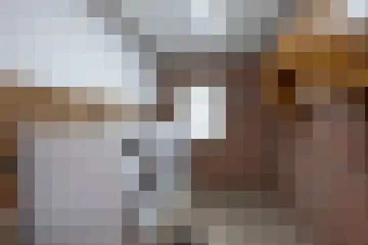 Weth. Goselinkstraat 1 a Hengevelde thumbnail 21