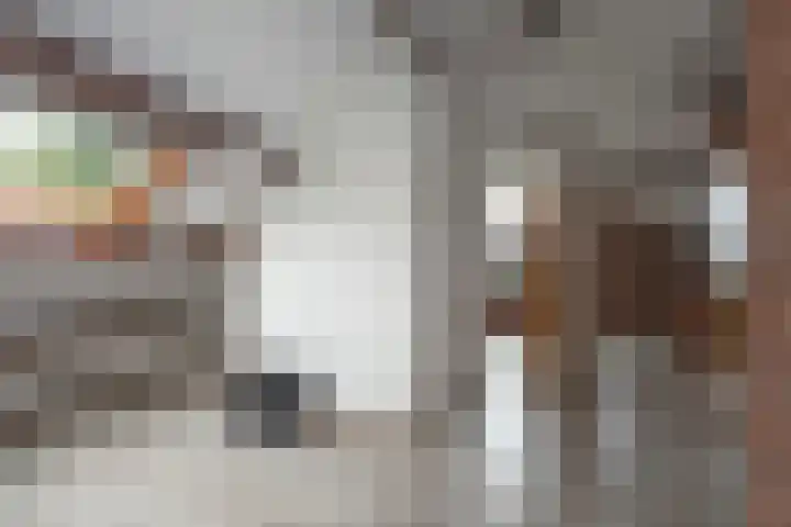 Weth. Goselinkstraat 1 a Hengevelde thumbnail 24
