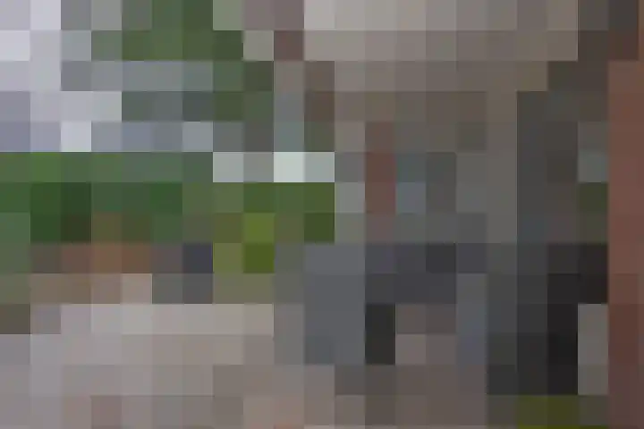 Weth. Goselinkstraat 1 a Hengevelde thumbnail 33