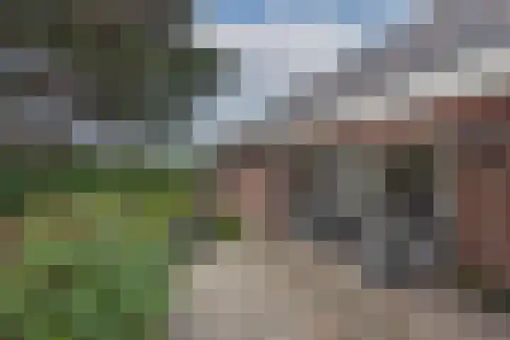 Weth. Goselinkstraat 1 a Hengevelde thumbnail 34