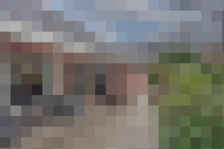 Weth. Goselinkstraat 1 a Hengevelde thumbnail 35