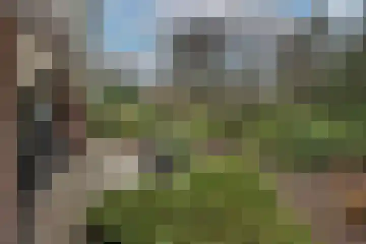 Weth. Goselinkstraat 1 a Hengevelde thumbnail 36