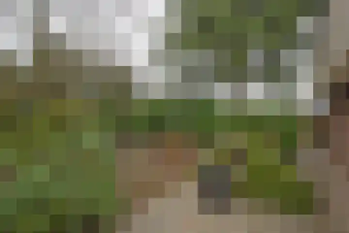 Weth. Goselinkstraat 1 a Hengevelde thumbnail 37
