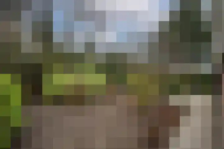 Weth. Goselinkstraat 1 a Hengevelde thumbnail 38