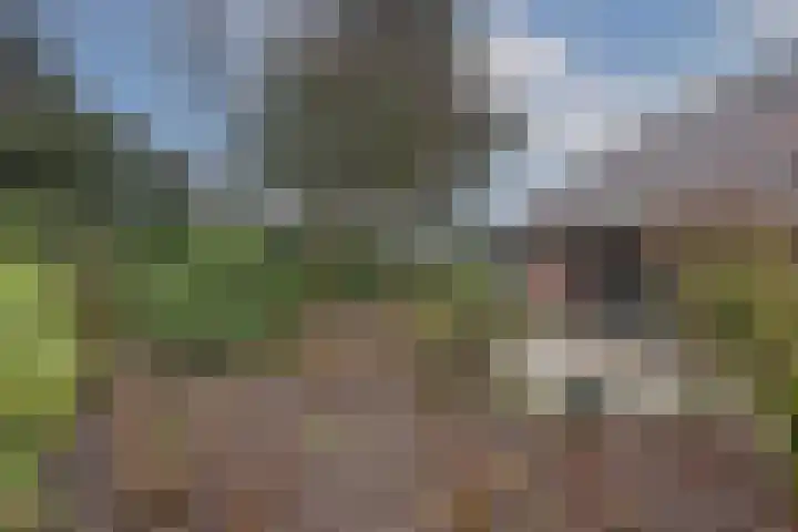 Weth. Goselinkstraat 1 a Hengevelde thumbnail 39