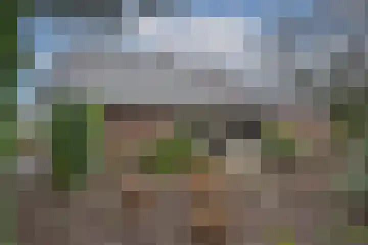 Weth. Goselinkstraat 1 a Hengevelde thumbnail 40