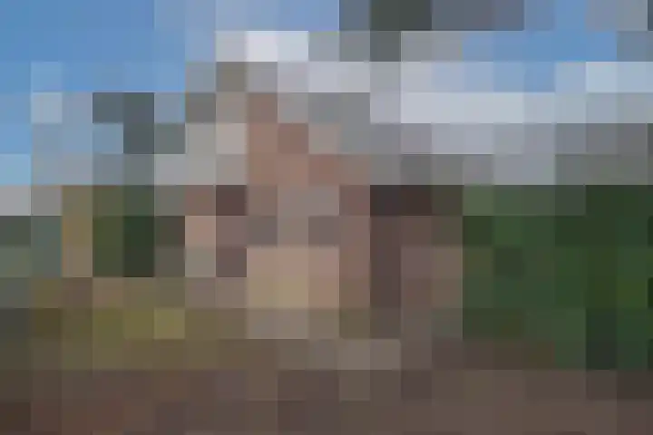 Weth. Goselinkstraat 1 a Hengevelde thumbnail 41