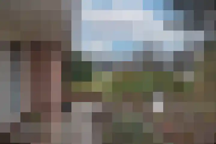 Weth. Goselinkstraat 1 a Hengevelde thumbnail 42