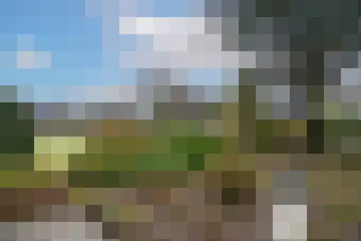 Weth. Goselinkstraat 1 a Hengevelde thumbnail 43