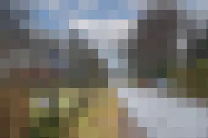 Weth. Goselinkstraat 1 a Hengevelde thumbnail 44