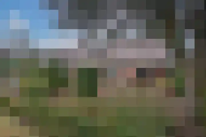 Weth. Goselinkstraat 1 a Hengevelde thumbnail 46