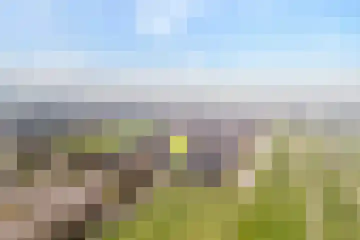 Weth. Huismanstraat 16 Wanneperveen thumbnail 4