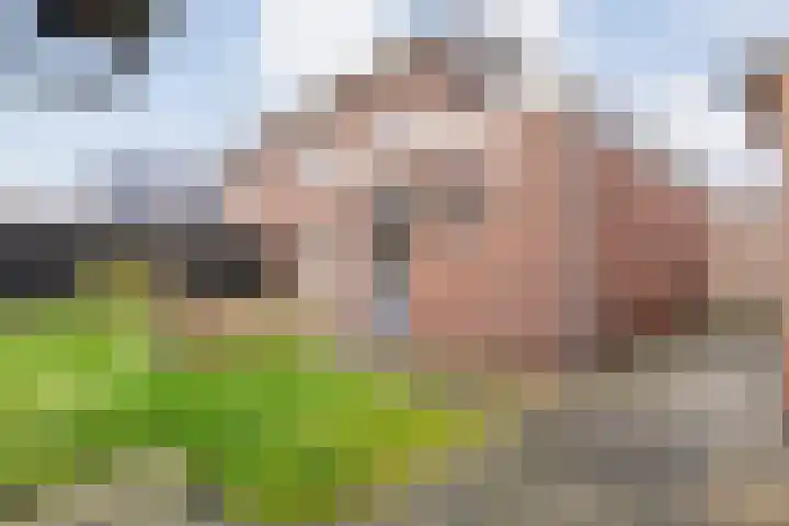 Weth. Huismanstraat 16 Wanneperveen thumbnail 41