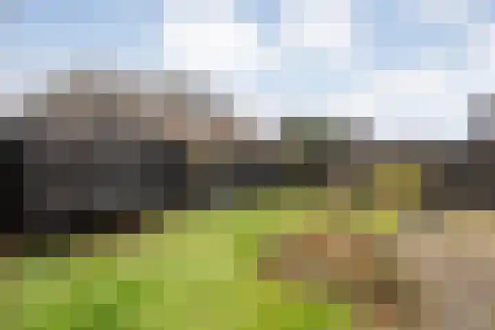 Weth. Huismanstraat 16 Wanneperveen thumbnail 43