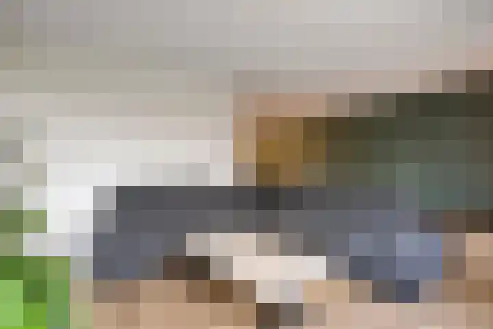 Weth. Huismanstraat 16 Wanneperveen thumbnail 5