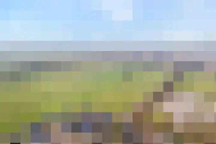Weth. Huismanstraat 16 Wanneperveen thumbnail 50