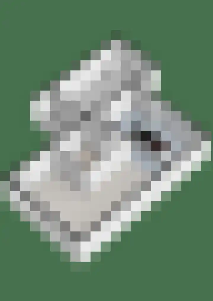 Weth. Huismanstraat 16 Wanneperveen thumbnail 52
