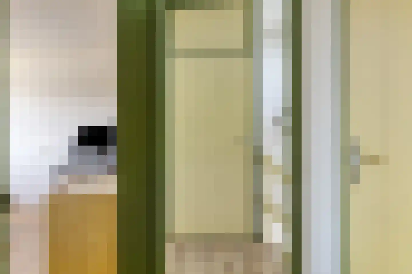 Weth J Teeringstraat 7 Giesbeek thumbnail 23