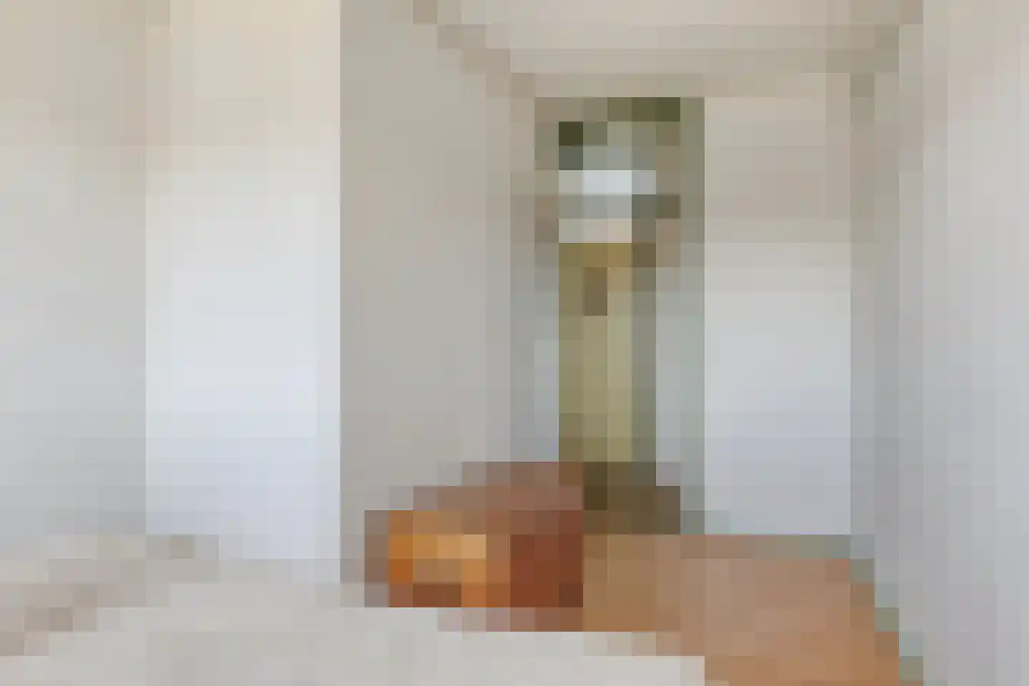 Weth J Teeringstraat 7 Giesbeek thumbnail 27