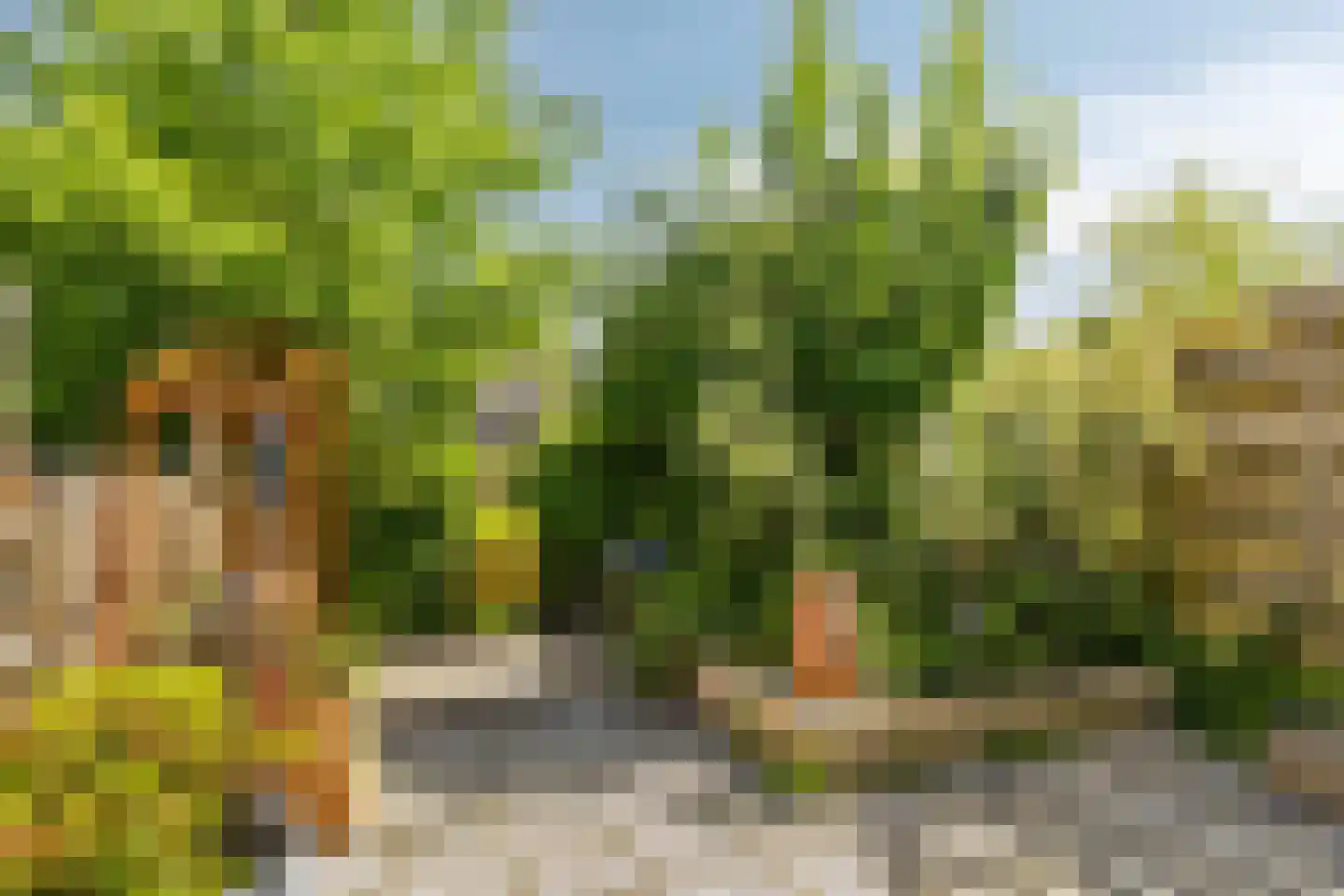 Weth J Teeringstraat 7 Giesbeek thumbnail 33