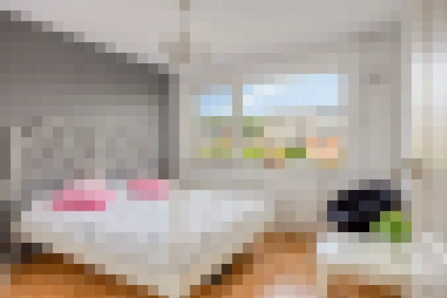 Weth J Tieckenstraat 3 Angerlo thumbnail 26