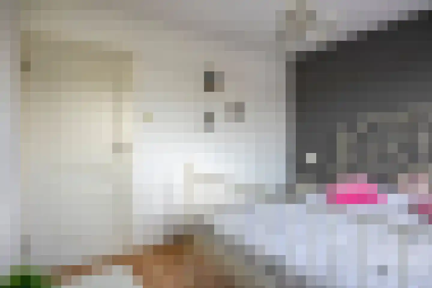 Weth J Tieckenstraat 3 Angerlo thumbnail 27