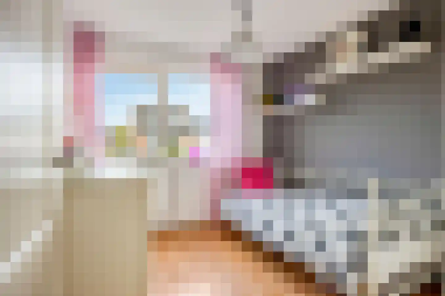 Weth J Tieckenstraat 3 Angerlo thumbnail 28