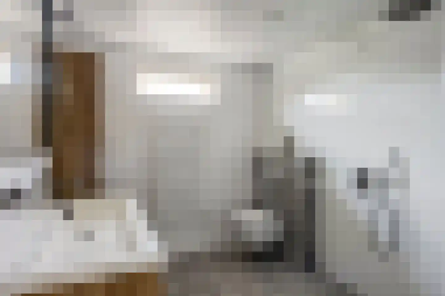 Weth J Tieckenstraat 3 Angerlo thumbnail 29