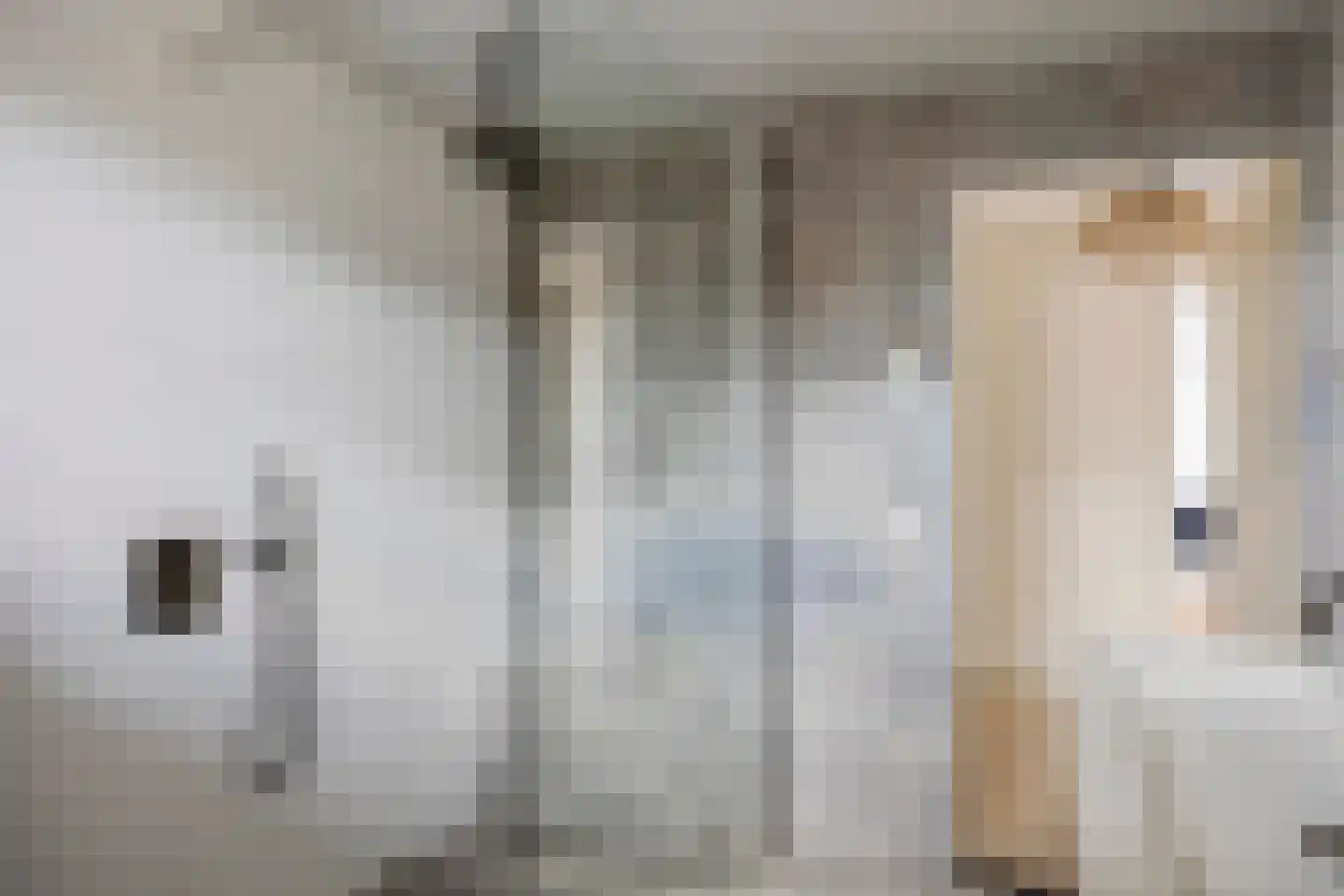 Weth J Tieckenstraat 3 Angerlo thumbnail 30