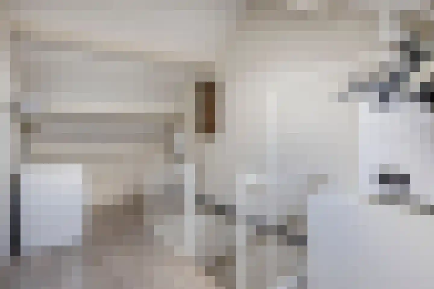 Weth J Tieckenstraat 3 Angerlo thumbnail 34