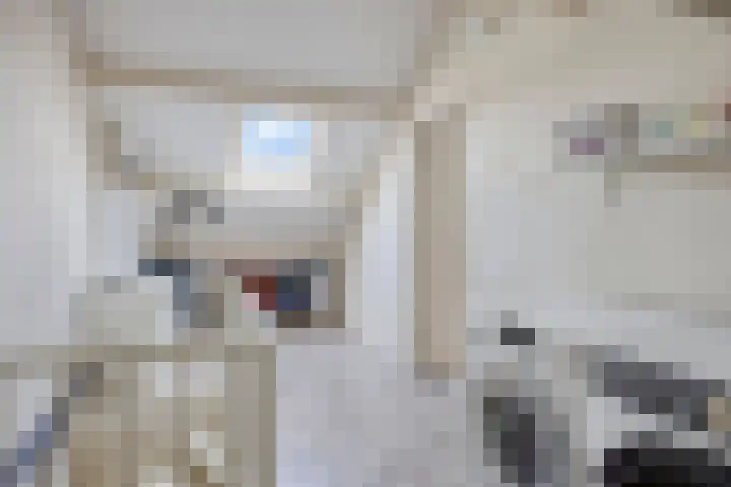 Weth J Tieckenstraat 3 Angerlo thumbnail 35