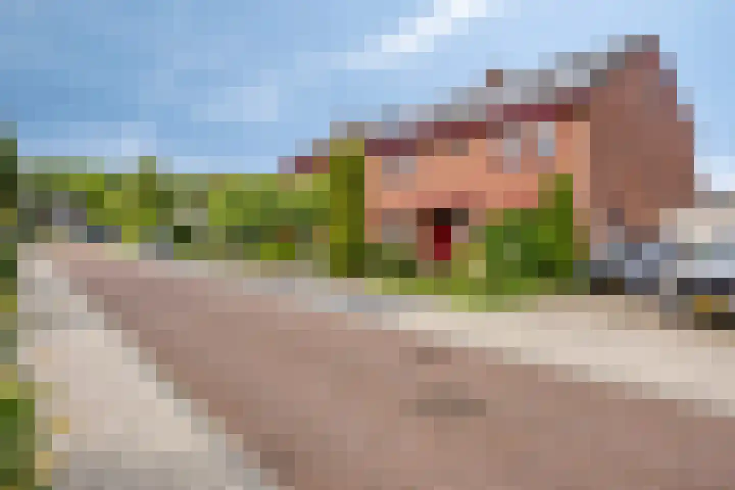 Weth J Tieckenstraat 3 Angerlo thumbnail 46
