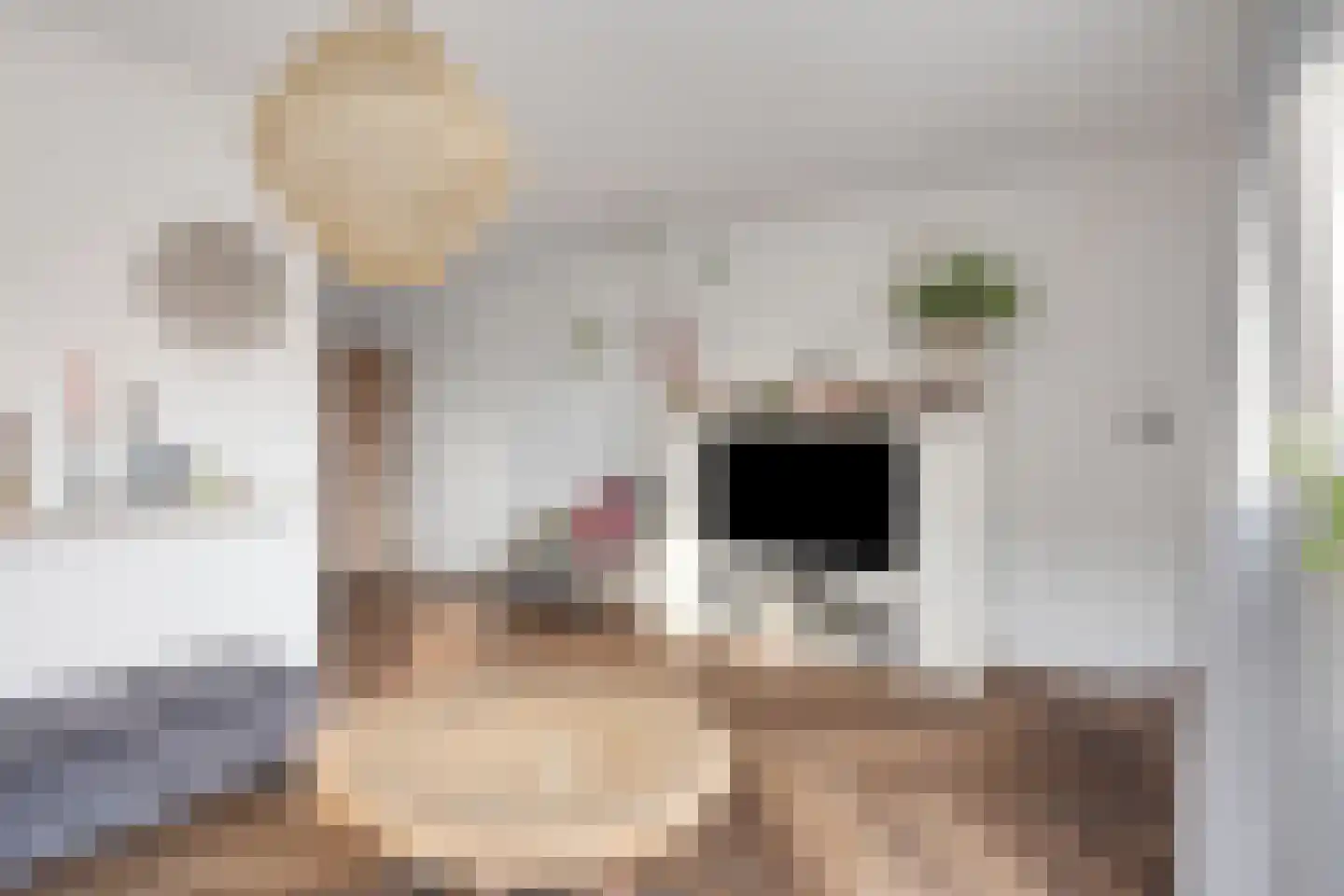 Weth. Kloostermanlaan 1 Anna Paulowna thumbnail 10