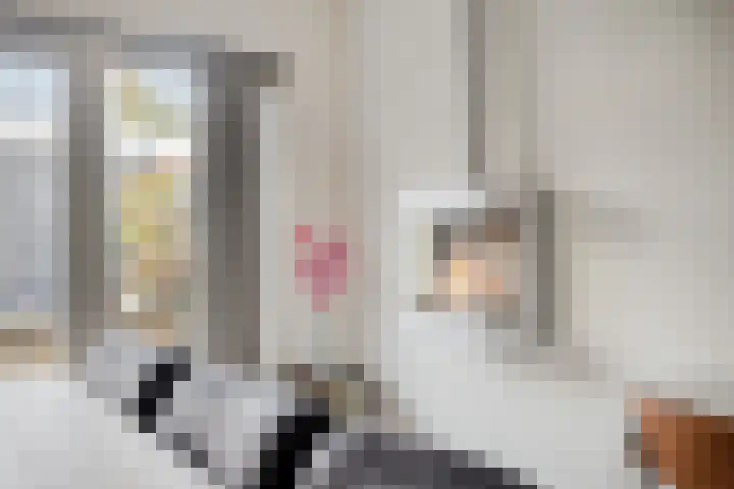 Weth. Kloostermanlaan 1 Anna Paulowna thumbnail 14