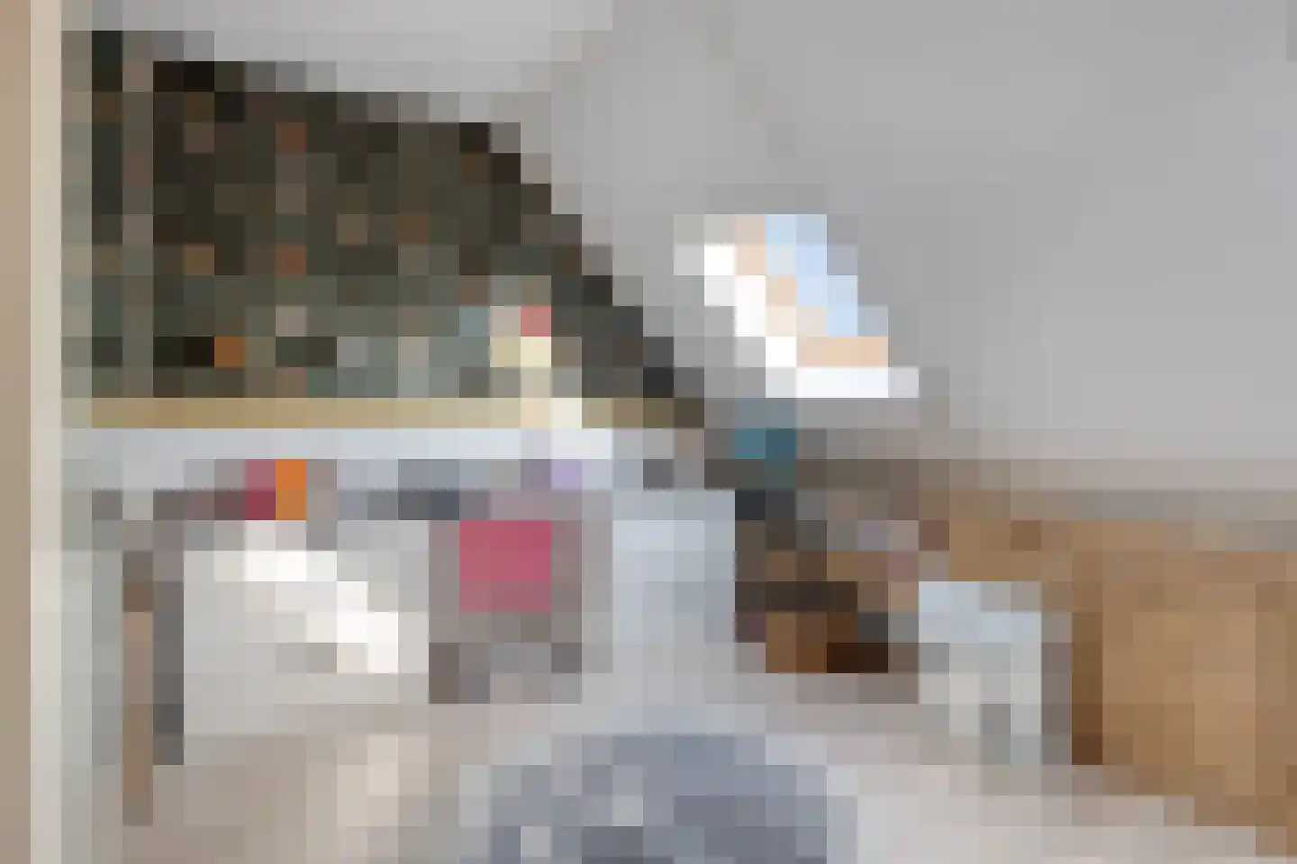 Weth. Kloostermanlaan 1 Anna Paulowna thumbnail 26