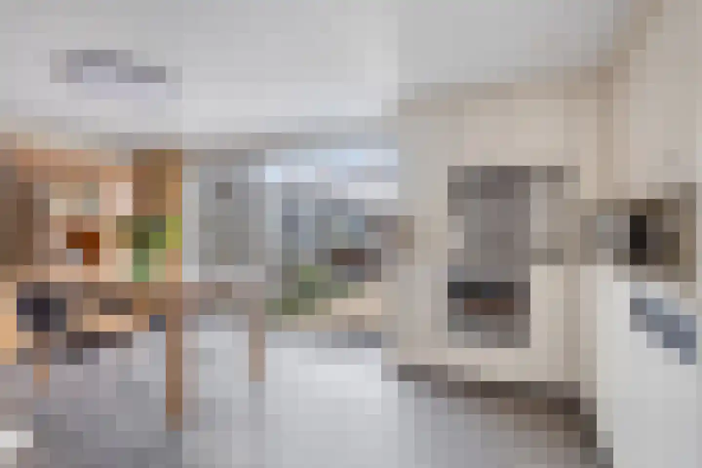 Weth. Lammersplantsoen 10 Budel-Schoot thumbnail 11