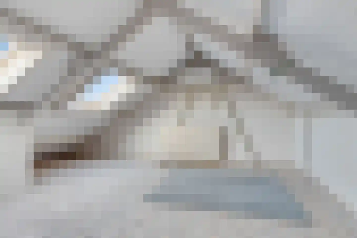 Weth. Lammersplantsoen 10 Budel-Schoot thumbnail 17