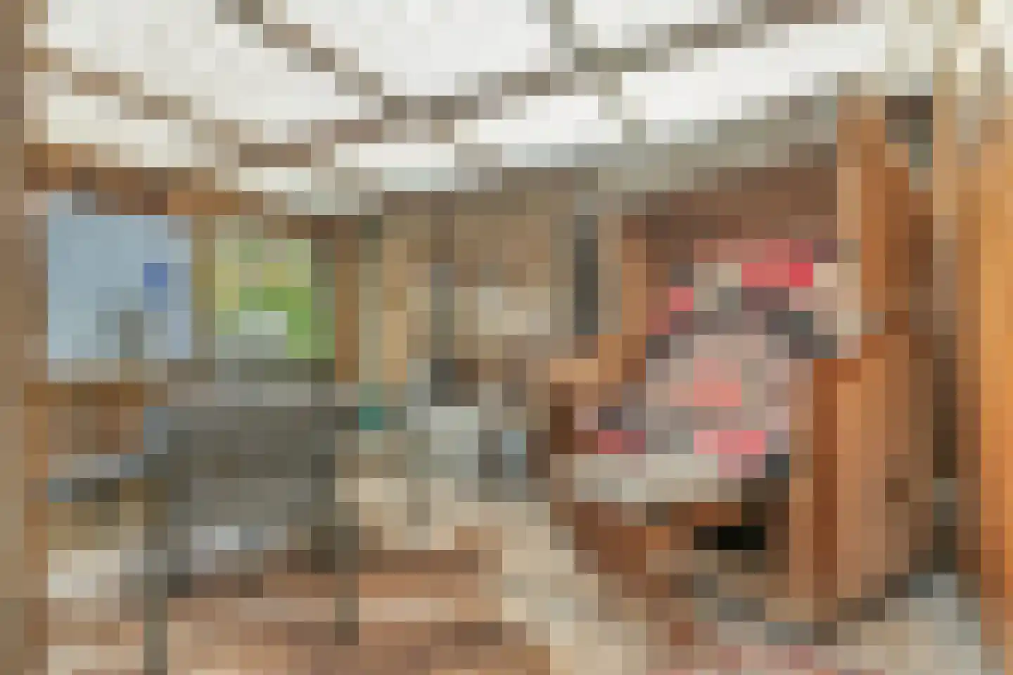 Weth. Lammersplantsoen 10 Budel-Schoot thumbnail 20