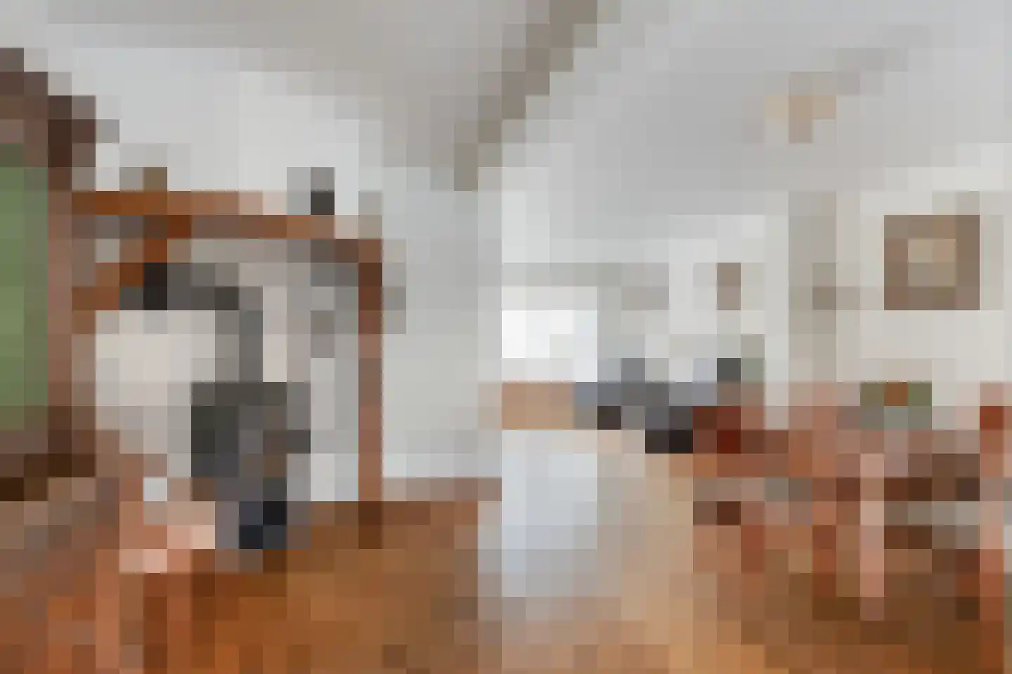Weth. Lammersplantsoen 10 Budel-Schoot thumbnail 6