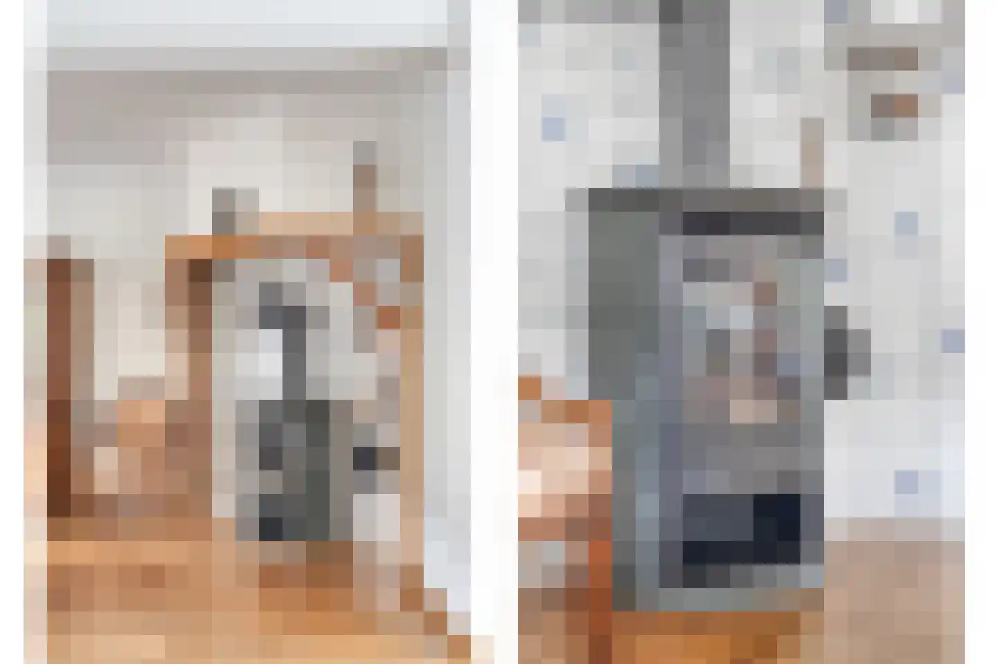 Weth. Lammersplantsoen 10 Budel-Schoot thumbnail 7